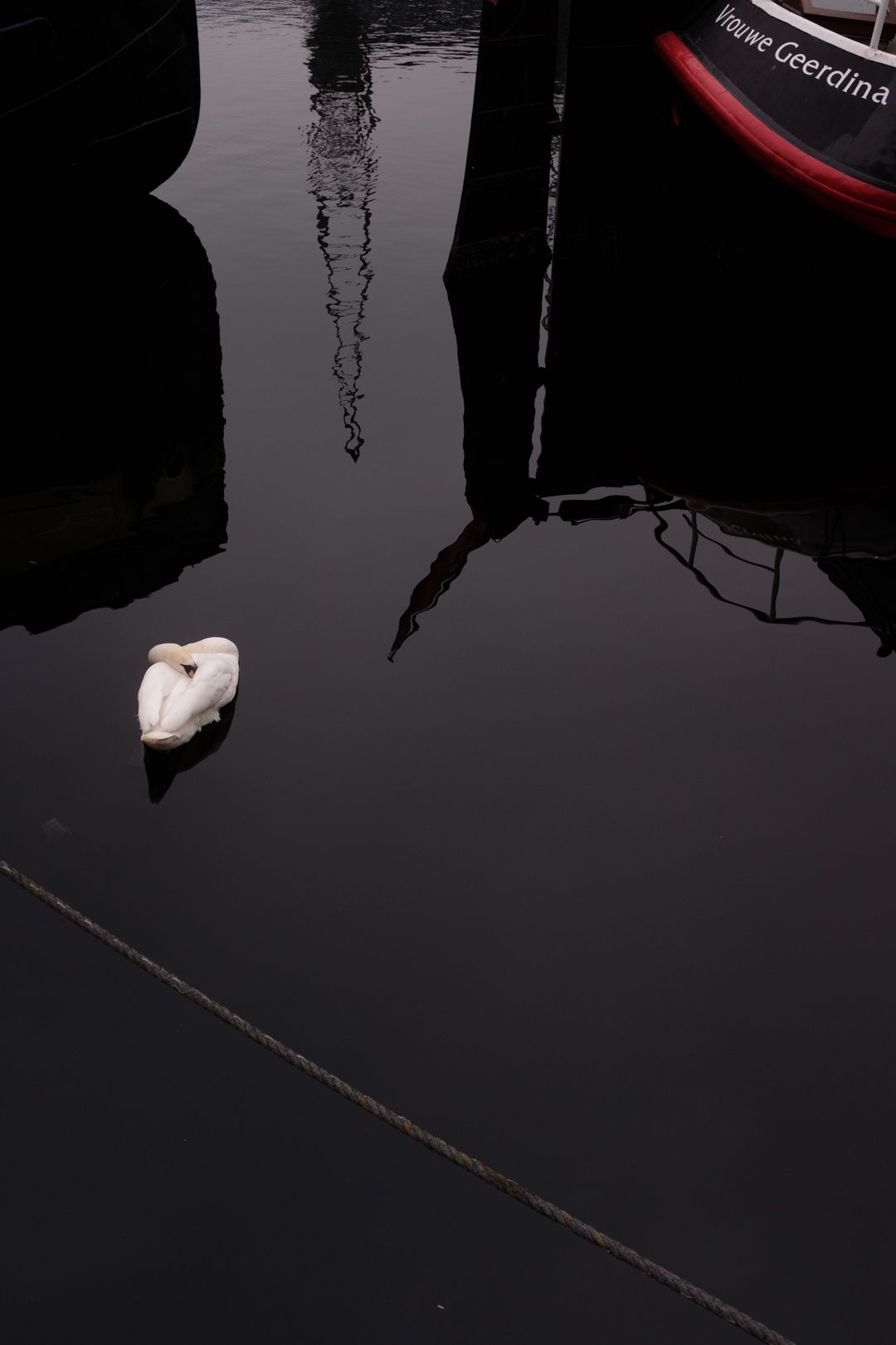 Weißer Schwan im schwarzen Wasser vor Boot mit der Aufschrift „Vrouwe Geerdina“